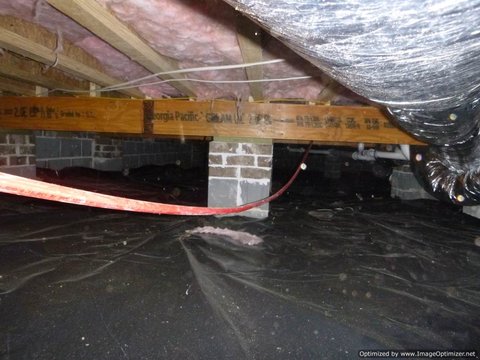 Sagging Plumbing Supply Lines